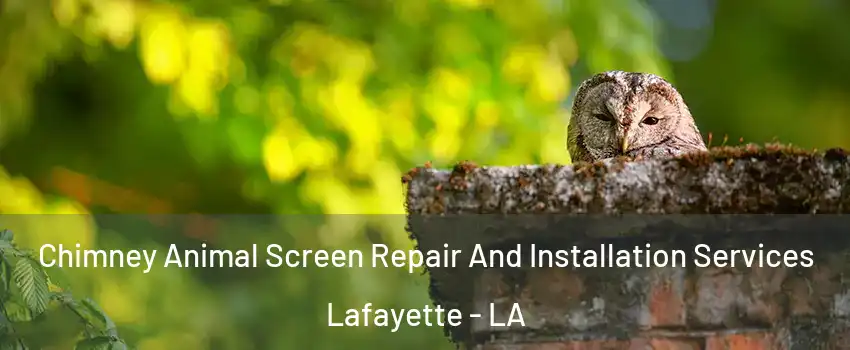  Chimney Animal Screen Repair And Installation Services Lafayette - LA