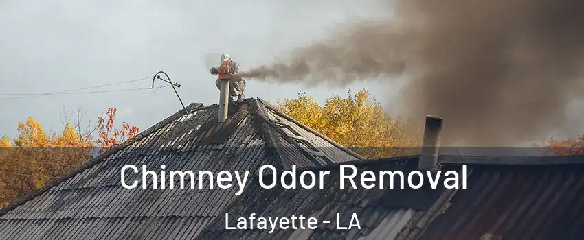  Chimney Odor Removal Lafayette - LA