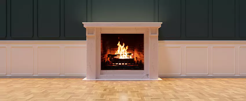 Napoleon Electric Fireplaces Inspection Service in Lafayette, Louisiana