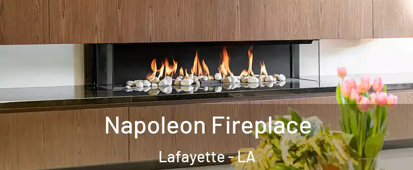  Napoleon Fireplace Lafayette - LA
